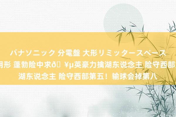 パナソニック 分電盤 大形リミッタースペース付 露出・半埋込両用形 蓬勃险中求🥵英豪力擒湖东说念主 险守西部第五！输球会掉第八